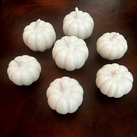Thanksgiving Centerpiece Set Of 7 White Mini Ceramic Pumpkins - Picture 6 of 15